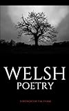 Welsh Poetry: Disguised Secret Hidden Password Organizer Log by Disguised Password Keepers