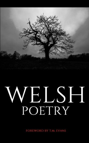 Welsh Poetry: Disguised Secret Hidden Password Organizer Log by Disguised Password Keepers