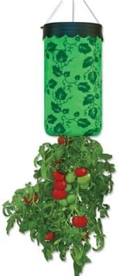 Upside Down Tomato Planter (1)