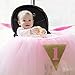 Posh Peanut 1st Birthday Tutu Skirt for High Chair Party Decorations for Your Baby Girl Special Day (Pink)