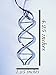 Anatomology DNA Hanging Ornament, Scientific/Unique, Metal, Holiday, Office
