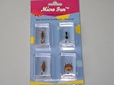 Bugs Specimen #1 Set
