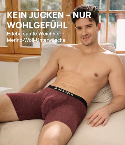 FORVEVO Pack of 6 Men's Merino Boxer Shorts, Merino Wool Underpants, Breathable Soft Underwear (M-3XL)