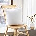 HIPPIH 18 x 18 Pillow Inserts Set of 2, Hypoallergenic Decorative Square Pillow Form Insert with Zips, White