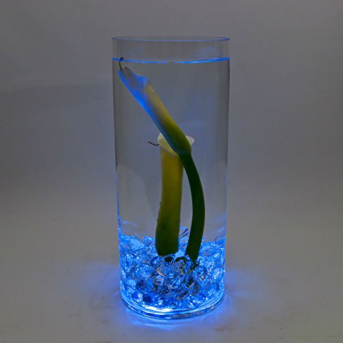 Submersible LED Lights cr2032 Battery Powered Underwater Waterproof LED Tea Light Candles for Events Wedding Centerpieces Vase Floral Xmas Holidays Home Decor Lighting(Pack of 12) (Blue)
