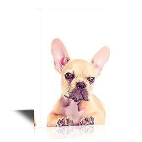 Canvas Wall Art - Artistic Art Illustration on White Background - Gallery Wrap Modern Home Art | Ready to Hang - 12x18 inches