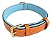 Soft Touch Collars Leather Padded Dog Collar, Large Tan with Teal Padding, Real Genuine Leather, 24