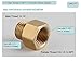 Kelica Brass Plumbing Pipe Fittings, Toilet Faucet Water Hose Adapter, G 1/2 Female to G 3/8 Male Adapter, Water Hose Adapter for Kitchen Bathroom Faucet, Pipe Converter Connector, (2 pieces)
