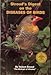 Stroud's Digest on the Diseases of Birds by 