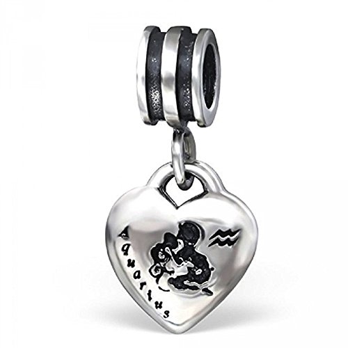 Pro Jewelry 925 Solid Sterling Silver Dangling Zodiac Sign Heart Charm Bead (Aquarius)