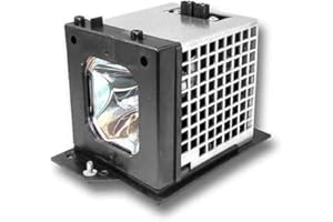 GOLDENRIVER UX21513 / LM500 Premium Quality Replacement Projector Lamp with Housing Compatible for HITACHI 42V515 42V525 42V7