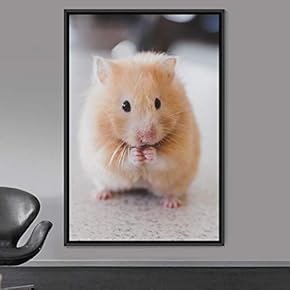 signwin Framed Canvas Wall Art Hamster Animals Fun...