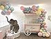 100 Pack 12 Inch 2.8g Thicken Macaron Color Balloons,Pastel Latex Balloon,for Birthday,Baby Shower,Wedding,Engagement,Christmas,Graduation,Picnic or Party Decorations,Garland,Arch Kit