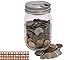 Stainless Steel Coin Slot Bank Lid Inserts for Mason, Ball, Canning Jars (10 Pack, Regular Mouth)