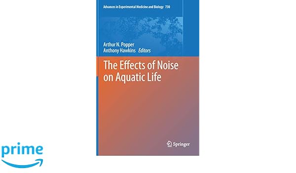 Unter den Schollen tobt das Leben