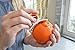 Ez-Peel Citrus Peeler for Oranges, Lemons and Limes, Use As A Cooking Tool for scoring vegetables or fruits, Colors May Vary