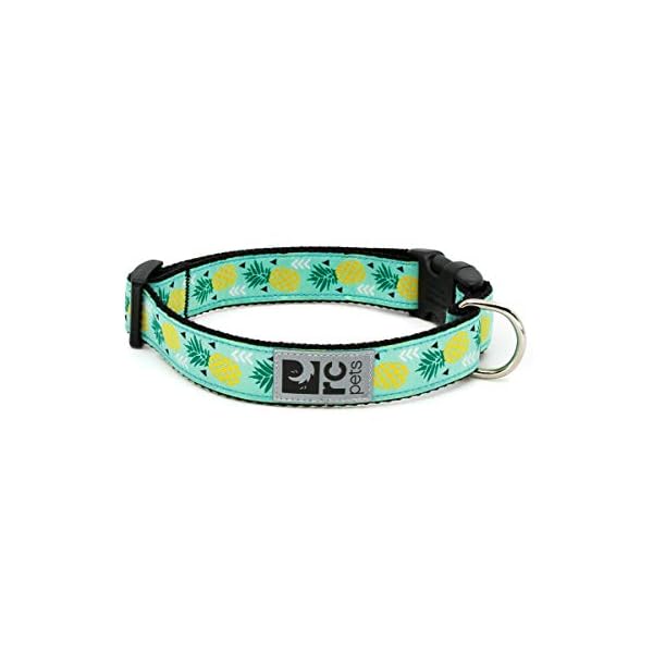 rc pets collar