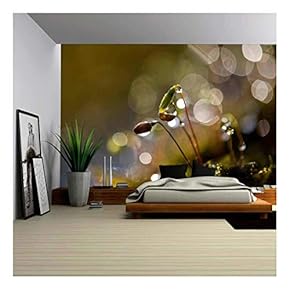 Water Droplets - Removable Wall Mural | Self-Adhesive Large Wallpaper - 66x96 inches