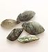 JIC Gem 20 Pcs Labradorite Crystal Freeform Cab Pendant Jewelry from Madagascar,Healing Palm labradorite Stone