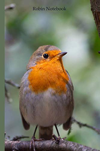 Robin Notebook: Robin notebook blank pages - Journal to write in - 120 pages - 6"x9"