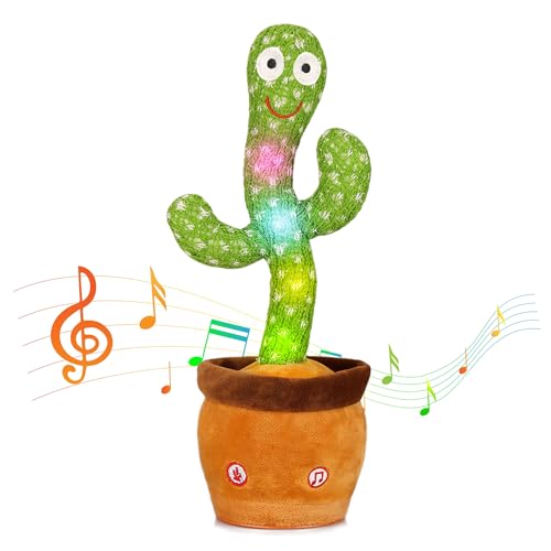 Dancing Cactus