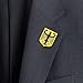 GERMANY EAGLE COAT ARMS CREST GERMAN FLAG LAPEL PIN DEUTSCHLAND BUNDESADLER VENICEBEE