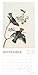 Audubon's Watercolors 2017 Wall Calendar: The Original Birds of America