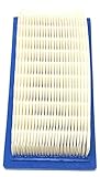 Briggs & Stratton 691643 Lawn & Garden Equipment Engine Air Filter Genuine Original Equipment Manufacturer (OEM) Part