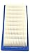 Briggs & Stratton 691643 Lawn & Garden Equipment Engine Air Filter Genuine Original Equipment Manufacturer (OEM) Part primary