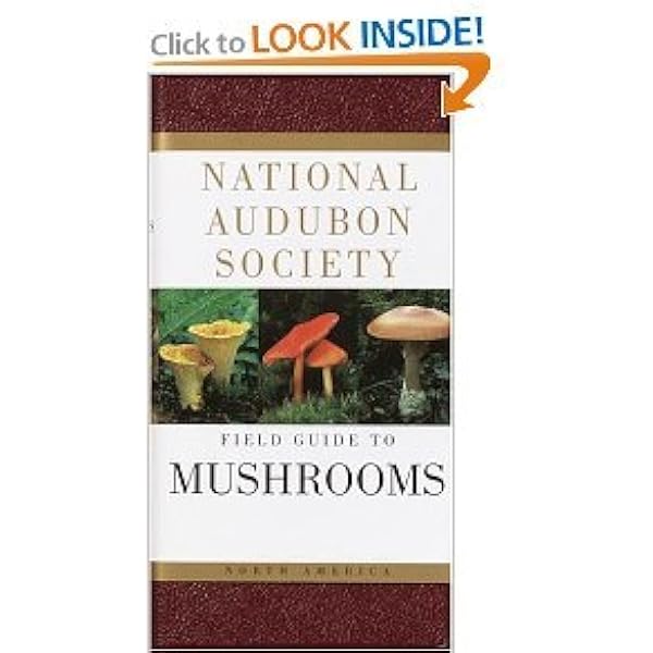 Mushrooms: phillips-roger: 9780330442374: Amazon.com: Books