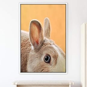 signwin Framed Canvas Wall Art Bunny Animals Bedroom...
