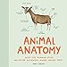 Animal Anatomy (Funny Animal Books, Funny Anatomy Books, Humor Books for Adults) by Sophie Corrigan