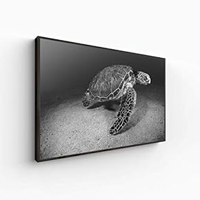 Canvas Wall Art for Living Room, Bedroom Animal Portrait Framed Canvas Prints for Home Decoration Ready to Hang - 16x24 inches
