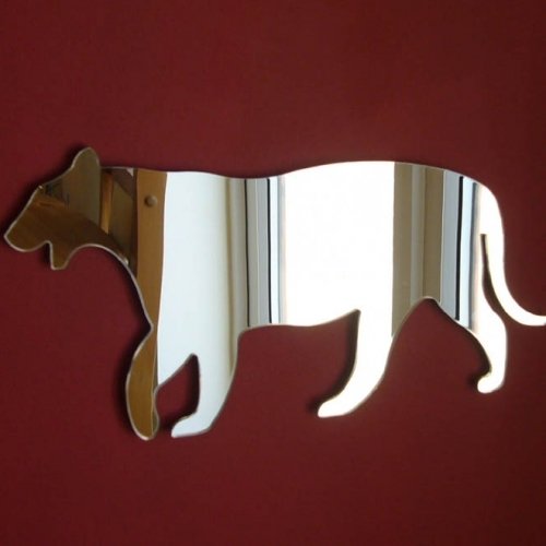 Super Cool Creations Tiger Mirrors - 50cm x 43cm