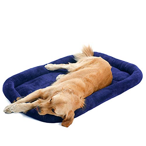 materassini per cucce cani