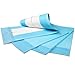 Platinum Care Pads Disposable Underpads Size 17X24 Case of 300 Blue and White Great for Changing Table and Surfaces