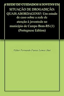 Livro A REDE DE CUIDADOS A JOVENS EM SITUAÇÃO DE DROGADIÇÃO: QUAIS ABORDAGENS?: Um estudo de caso sobre a rede de atenção à juventude no município de Campo Bom-RS (1)