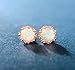 MDFUN Rose Gold Plated 6.0mm Round Brilliant Crown Opal and Cubic Zirconia Stud Earrings