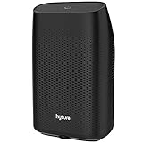 Hysure Electric Dehumidifier, Portable Dehumidifier with 2L(4.2 Pints) Water Tank, Electric Mini Dehumidifier for Bathroom, Auto Shutoff Ultra Quiet Dehumidifier for Basement Kitchen Bedroom Closet