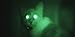 Night Vision