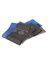 TheraBand - Juego de bandas de resistencia, banda elástica profesional no látex para ejercicios de cuerpo superior e inferior, entrenamiento de fuerza sin pesos, terapia física, pilates, rehabilitación