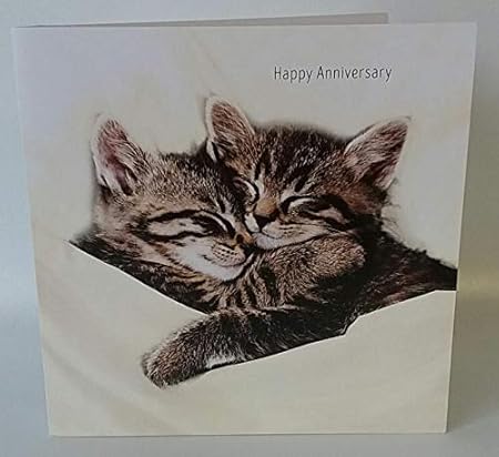 Amazon Com Happy Anniversary Cute Sleeping Kittens Couple New