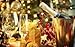 Papillon Sparkling White Alcohol Free Champagne