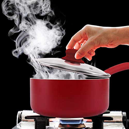 Dealz Frenzy 18 Pieces Pots and Pans Set,Induction Cookware with