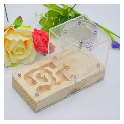 BATRC SYXYSM 1PCS Ant Nest Home Workshop Ant Plane Gypsum Plaster Nest Pet Ant Castle Funny Ant Farm Ants and Queen Ant Habitat Ant Ecological Park (Color : Primary Wooden nest)