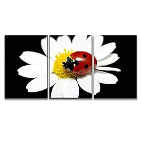 The Ladybug Sits on a Flower Petal x3 Panels