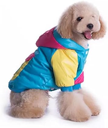 amazon venta de perros