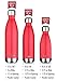 MIRA 25 Oz Stainless Steel Vacuum Insulated Water Bottle - Double Walled Cola Shape Thermos - 24 Hours Cold, 12 Hours Hot - Reusable Metal Water Bottle - Leak-Proof Sports Flask - Red