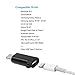 USB-C Adapter with Keychain - i Cable Female to USB Type C Male,Data Sync and Charging Adapter for Galaxy Note 9 Pixel 3 (USB-C, Black)