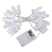 Holidayli 20 LED Photo Hanging Clips String Lights for Teens Kids Bedroom Wall Decor Lighting (Warm White)